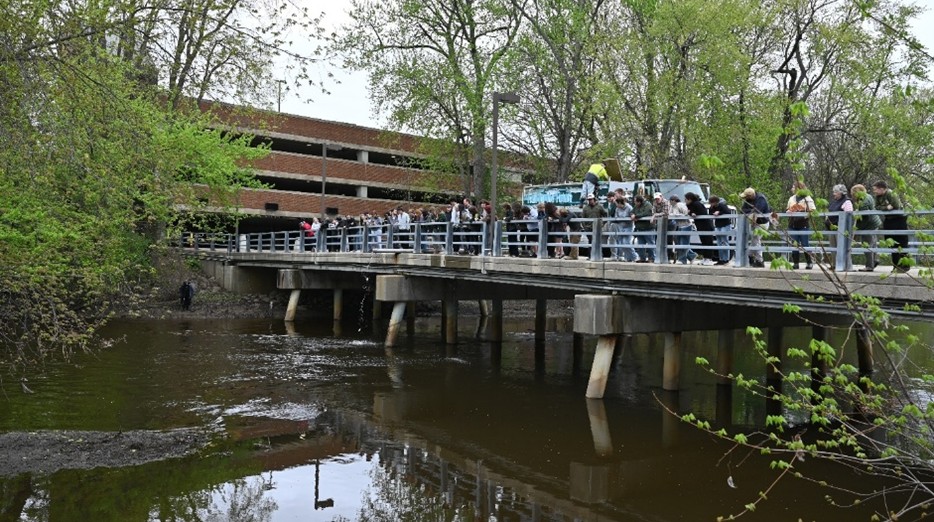 Steelhead bridge attendees.jpg